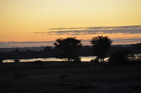 DSC_0920.JPG