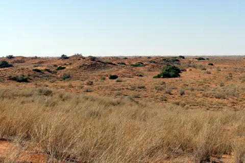 P1100754.JPG
