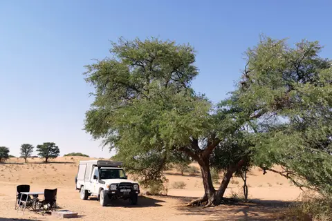 P1100826.JPG