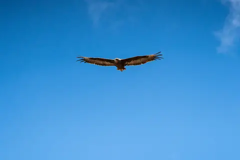 200830155.jpg