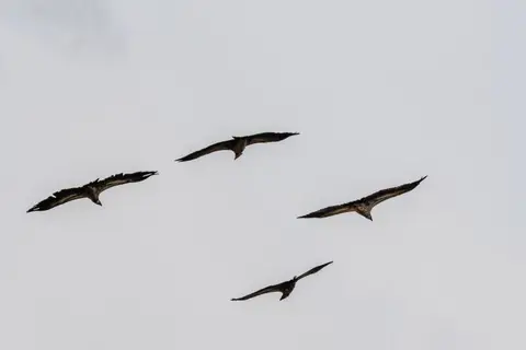 200901164.jpg
