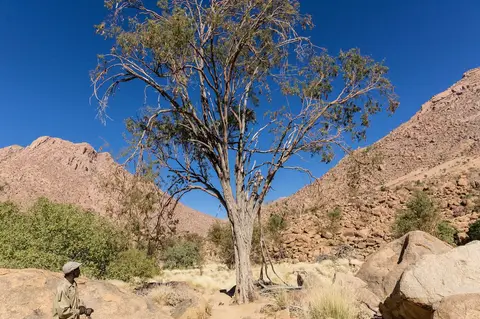 hfb672a3.jpg