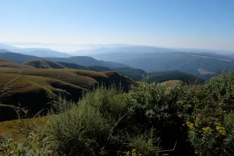DSCF2138.JPG