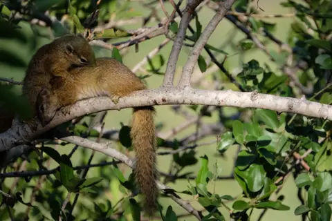 DSCF2222.JPG