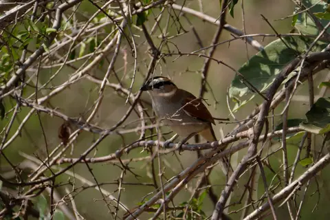 DSCF2364.JPG