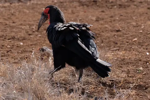 DSCF2452.JPG