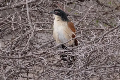 DSCF2474.JPG