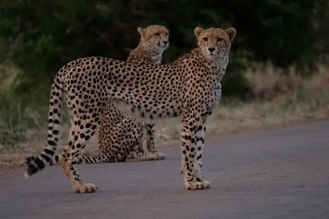 DSCF2681.JPG