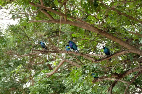 DSCF2731.JPG