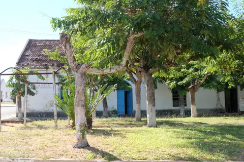 DSCF2964.JPG