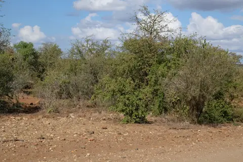 DSCF3142.JPG