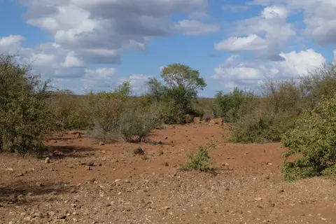 DSCF3143.JPG