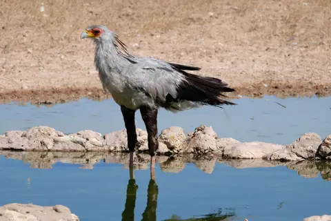 DSCF4173.JPG