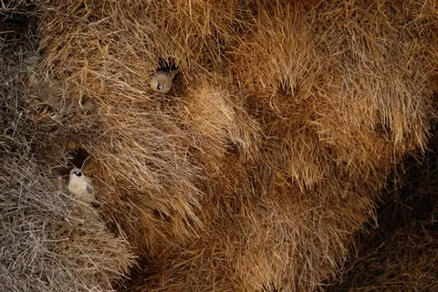 DSCF4196.JPG