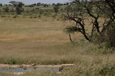 DSCF4269.JPG