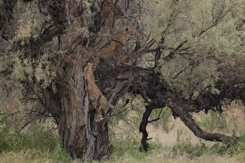 DSCF4332.JPG