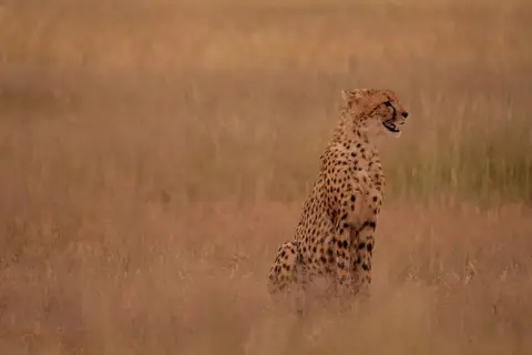DSCF4360.JPG