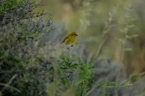 DSCF4448.JPG