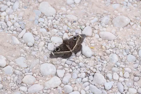 DSCF4495.JPG