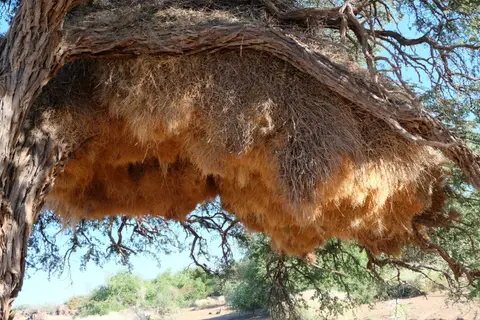DSCF4583.JPG