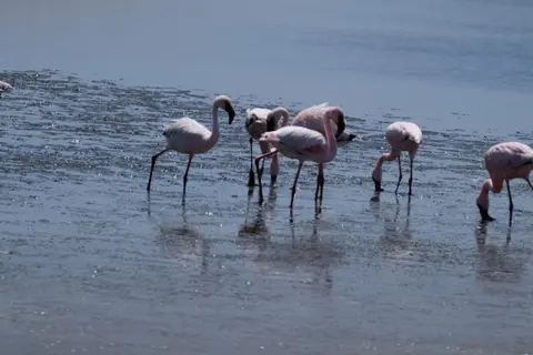 DSCF4743.JPG