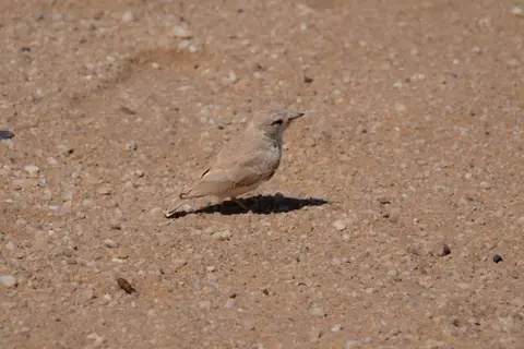 DSCF4897.JPG