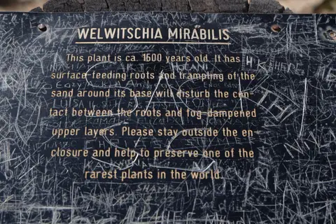 DSCF4975.JPG