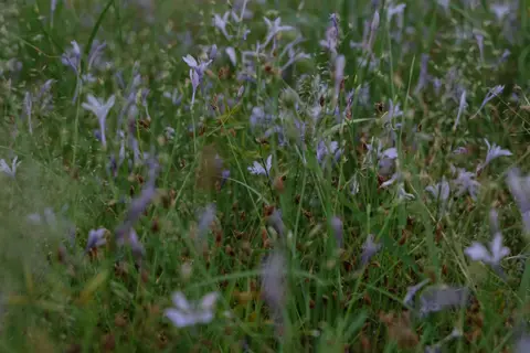 DSCF5039.JPG