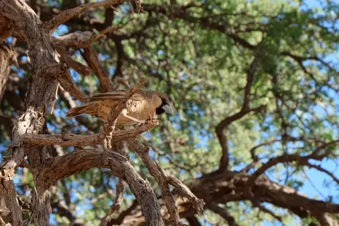 DSCF5055.JPG