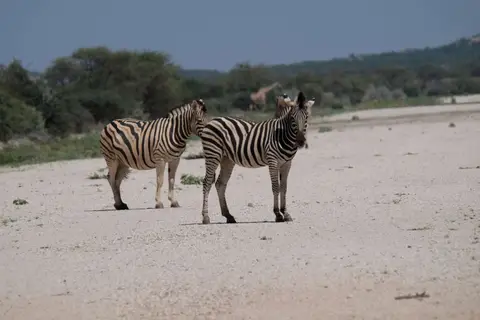 DSCF5060.JPG