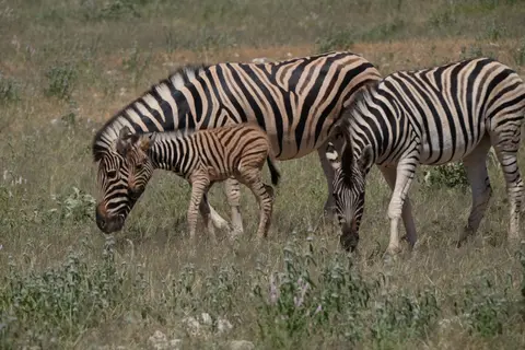 DSCF5065.JPG