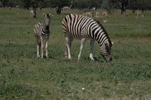 DSCF5173.JPG