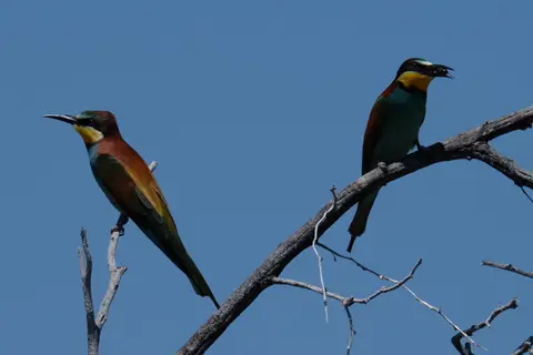 DSCF5272.JPG