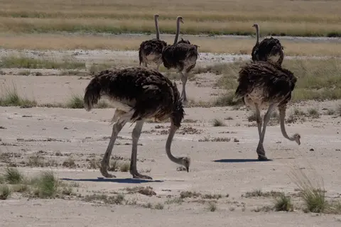 DSCF5273.JPG