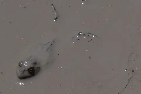 DSCF5281.JPG