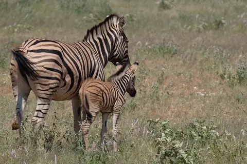 DSCF5285.JPG