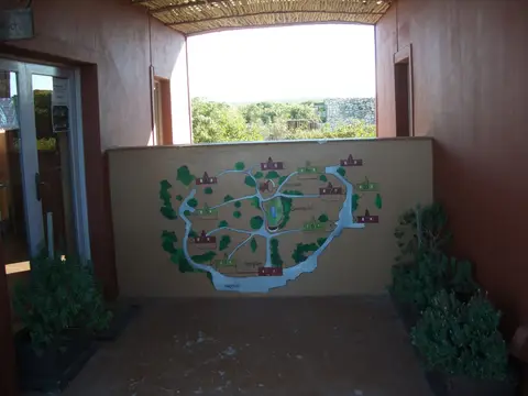 IMGP2661.JPG