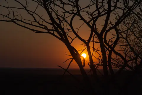 2016-Namibia(533von249).jpg