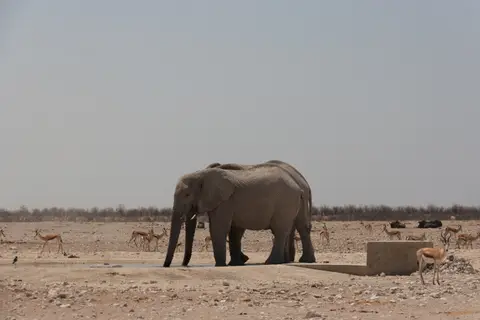 2016-Namibia(541von249).jpg