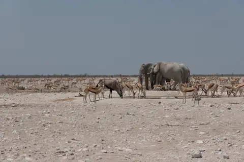 2016-Namibia(544von249).jpg