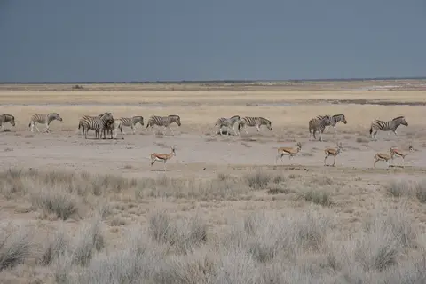 2016-Namibia(581von249).jpg
