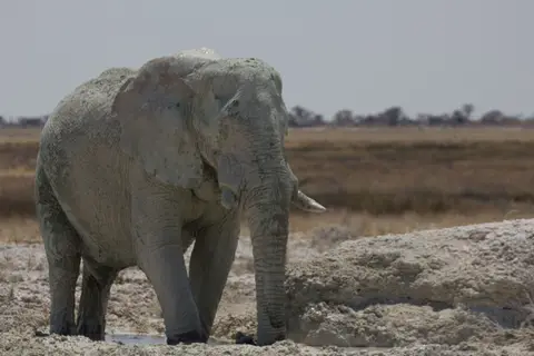2016-Namibia-0121-2.jpg
