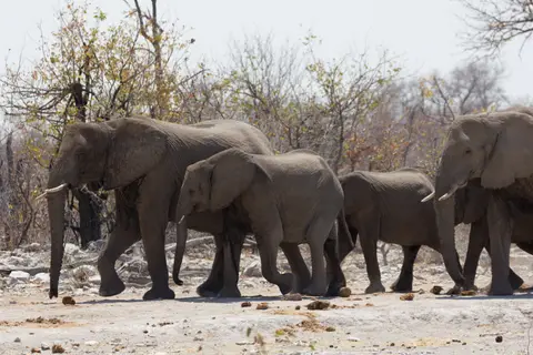 2016-Namibia-0132-2.jpg