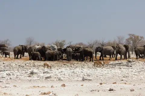 2016-Namibia-0145-2.jpg
