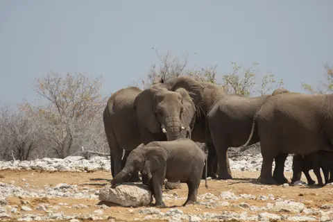2016-Namibia-0158-2.jpg