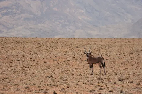 2016-Namibia-0159.jpg