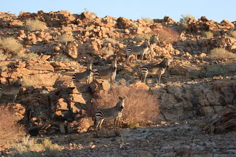 2016-Namibia-0217.jpg