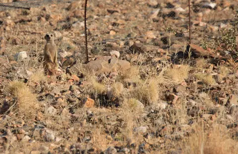 2016-Namibia-0247.jpg