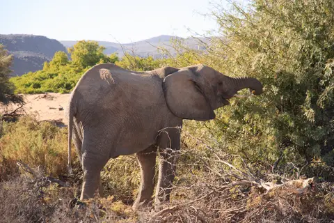 2016-Namibia-0432.jpg