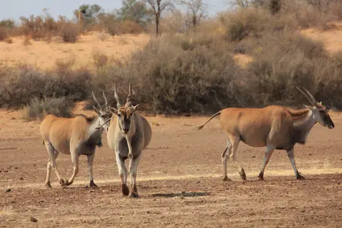 2016-Namibia-8913.jpg